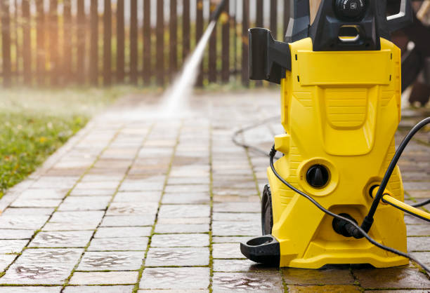 Animal Enclosure Cleaning in Port Reading, NJ